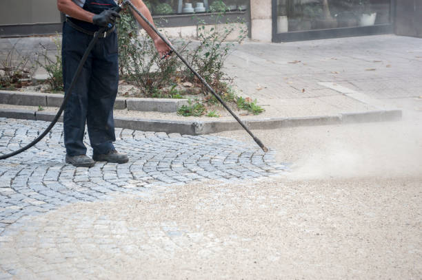 Best Fence Cleaning  in Youngstown, NY